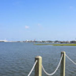 Meet your Posher, Roberta